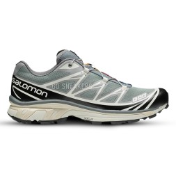 Salomon XT-6 Advanced Monument Phantom