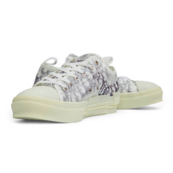 Dior B23 Oblique Low